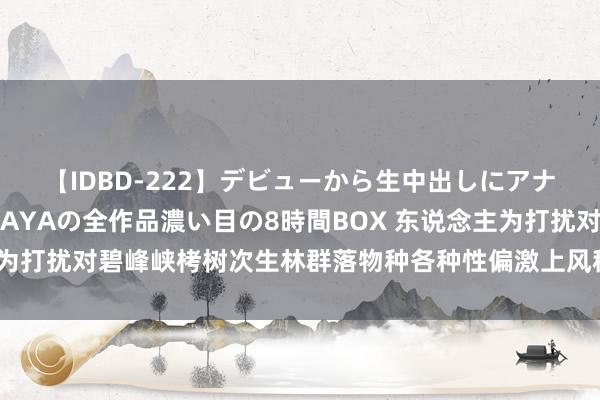 【IDBD-222】デビューから生中出しにアナルまで！最強の芸能人AYAの全作品濃い目の8時間BOX 东说念主为打扰对碧峰峡栲树次生林群落物种各种性偏激上风种群生态位的影响