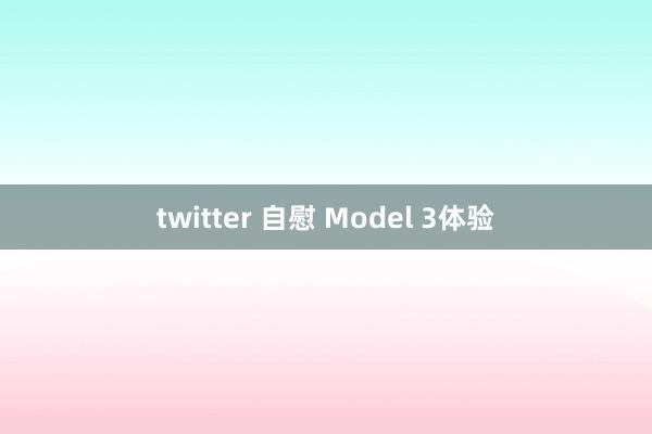 twitter 自慰 Model 3体验