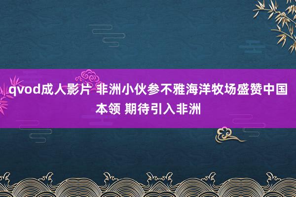 qvod成人影片 非洲小伙参不雅海洋牧场盛赞中国本领 期待引入非洲