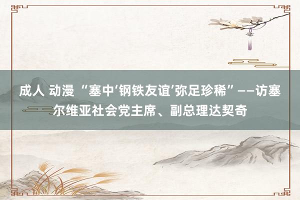 成人 动漫 “塞中‘钢铁友谊’弥足珍稀”——访塞尔维亚社会党主席、副总理达契奇